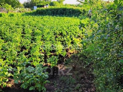 Дача · 2 комнаты · 15 м² · 6 сот., Кедровая за 200 000 ₸ в Аксу