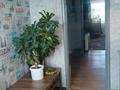 3-бөлмелі пәтер · 58.4 м² · 5/5 қабат, Вострецова 12, бағасы: 18.5 млн ₸ в Усть-Каменогорске — фото 13