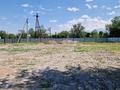 Сельское хозяйство · 1000 м² за 500 000 ₸ в Каскелене — фото 12