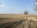 Участок · 6700 соток, Капчагайская трасса за 2.2 млрд ₸ в Коктереке — фото 15