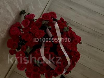 В поиске квартиры на долгосрочную…, Алмалинский р-н в Алматы