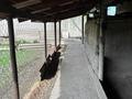 Отдельный дом · 4 комнаты · 100 м² · 10 сот., Кусаинова 44 — Паралельно с главной дороги за 28 млн ₸ в Жибек Жолы — фото 4
