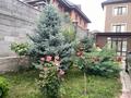 Отдельный дом · 7 комнат · 265 м² · 8 сот., Рыскулова за 135 млн ₸ в Туздыбастау (Калинино) — фото 43