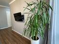 2-комнатная квартира · 43 м² · 13/16 этаж, мкр Коктем-3 24 за 25 000 〒 в Алматы, Бостандыкский р-н — фото 9