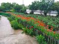 Жеке үй · 4 бөлме · 95 м² · 10 жүзд., Наурыз — Мечеть, бағасы: 12 млн ₸ в Арайлы — фото 3