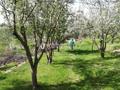 Жеке үй · 4 бөлме · 45 м² · 25 жүзд., Коржынбай 71, бағасы: 5.9 млн ₸ в Карабулаке
