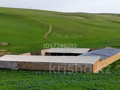Сельское хозяйство • 70000 м² за 38 млн 〒 в Казыгурте