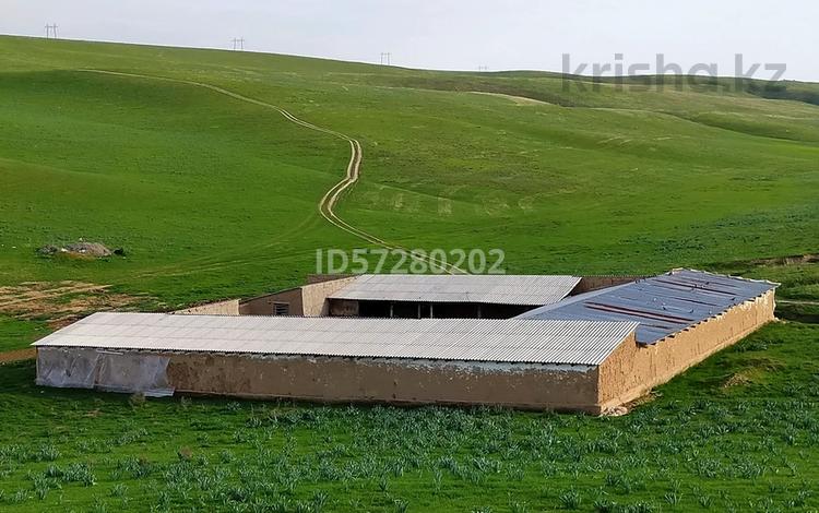 Сельское хозяйство • 70000 м² за 41.5 млн 〒 в Казыгурте — фото 2