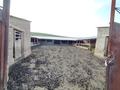Ауыл шаруашылығы · 70000 м², бағасы: 58 млн ₸ в Казыгурте — фото 6