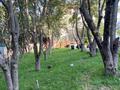 Дача · 3 комнаты · 95 м² · 6 сот., мкр Карагайлы за ~ 60 млн ₸ в Алматы, Наурызбайский р-н — фото 4