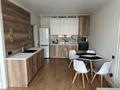 2-комнатная квартира · 42 м² · 7/12 этаж, Сатпаева 90 — Туркебаева за 350 000 ₸ в Алматы, Бостандыкский р-н
