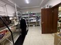 Офисы, магазины и бутики, салоны красоты, медцентры и аптеки, образование, развлечения · 855 м² за 710 млн 〒 в Астане, Алматы р-н — фото 9