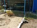Дача · 3 комнаты · 36 м² · 9.1 сот., Восточный правый — Восточный береговой правый за 7.2 млн ₸ в Семее — фото 10