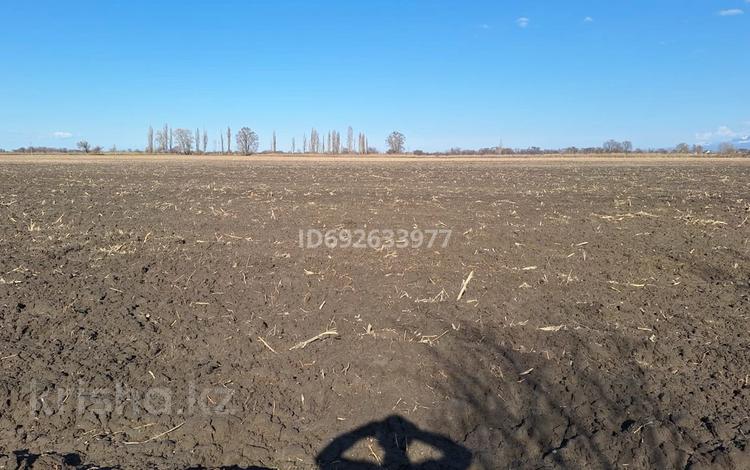 Участок 27.3 га, Байтерек (Новоалексеевка) за 4 млн 〒 — фото 2