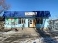 Отдельный дом · 8 комнат · 284 м² · 7 сот., 1 пер Смоленская 9 — Комратова-Ташкентская за 120 млн ₸ в Таразе — фото 5