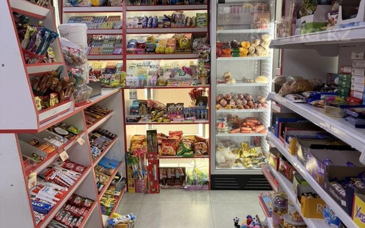 Магазин качковый 24/7, ГОТОВОГО БИЗНЕСА · 87 м² за 27.5 млн ₸ в Астане, Есильский р-н — фото 3