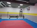 Фитнес және спорт · 200 м², бағасы: 800 000 ₸ в Алматы, Наурызбайский р-н — фото 2