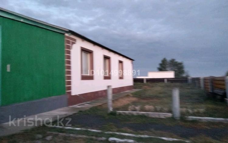 Отдельный дом · 4 комнаты · 150 м² · 5 сот., Ырсай 1а — Ырсай за 5.5 млн ₸ в Житикаре — фото 2