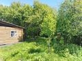 Отдельный дом · 3 комнаты · 73.5 м² · 25 сот., Торайгырова 59 за 25 млн ₸ в  — фото 7
