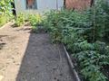 Отдельный дом · 3 комнаты · 49.2 м² · 2.8 сот., Фролова 115 — Автасалон Хюндай центр за 25 млн ₸ в Костанае — фото 8