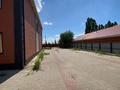 Кеңселер, дүкендер мен бутиктер · 420 м², бағасы: ~ 118.8 млн ₸ в Актобе — фото 9