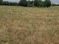 Участок · 10 соток, 6 25 — Между участками за 1.5 млн ₸ в Тюлькубасе — фото 2
