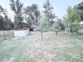 Жеке үй · 3 бөлме · 90 м² · 8 жүзд., Райымбек 245, бағасы: 30 млн ₸ в Рыскулово — фото 5