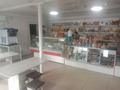 Магазины и бутики, общепит • 100 м² за 20 млн 〒 в Семее — фото 8