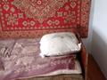 Жеке үй · 4 бөлме · 70 м² · 10 жүзд., Курьяновский, Грейдерная 32а, бағасы: 5 млн ₸ в Караганде, Алихана Бокейханова р-н — фото 23