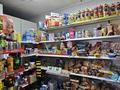 ГОТОВЫЙ БИЗНЕС ПРОДУКТОВЫЙ МАГАЗИН · 110 м² за 25 млн ₸ в Актобе, Старый город — фото 3