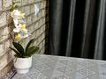 2-комнатная квартира · 44.5 м², Казбек би 120 — Напротив гастронома , самый центр , золотой квадрат за 13 000 ₸ в Таразе — фото 3
