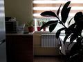 Жеке үй · 4 бөлме · 120 м² · 9.2 жүзд., Жусип Баласагуна 6 — Рыскулова, бағасы: 32 млн ₸ в Талгаре — фото 7