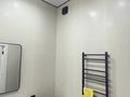 2-бөлмелі пәтер · 47 м² · 8/12 қабат, Ақбұлақ ш/а., Момышулы 100 — По улице Момыш ұлы, бағасы: 31 млн ₸ в Алматы, Алатауский р-н — фото 15