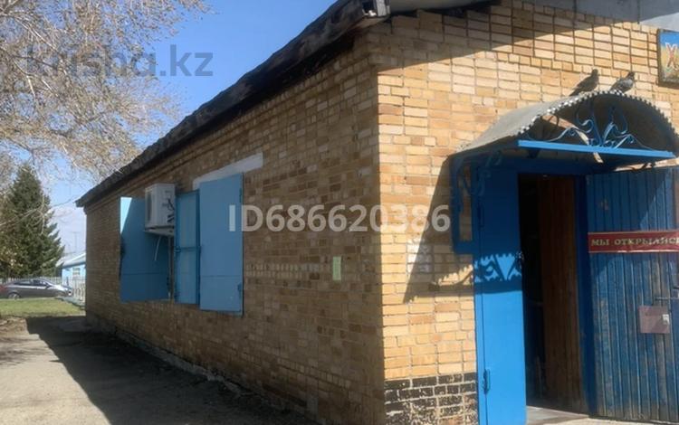 Магазины и бутики · 95.2 м² за 23 млн ₸ в Восточно-Казахстанской обл., Усть-Таловка — фото 4