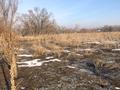 Участок · 635 соток, Садовая 11 — Кульджинский трасса за 110 млн ₸ в Байтереке (Новоалексеевке) — фото 5