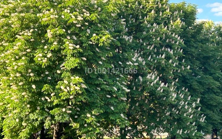 Жер телімі · 470 сотық, Алматы, бағасы: ~ 2.4 млрд ₸ — фото 2