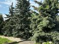 Жер телімі · 470 сотық, Алматы, бағасы: ~ 2.4 млрд ₸ — фото 2