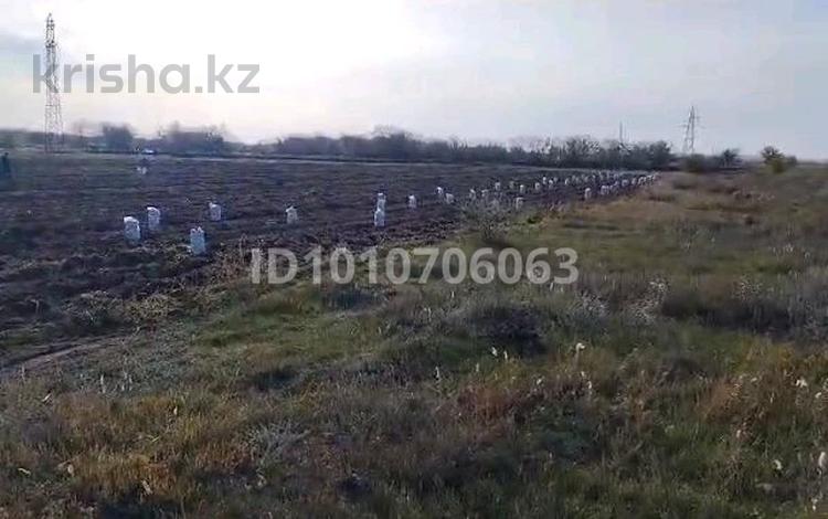 Участок · 10 га, Долинка за 30 млн ₸ — фото 2