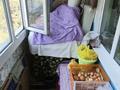 3-комнатная квартира · 58 м² · 5/5 этаж, мкр Хан Тенгри, Аскарова 4 — Санаторий Алма ата дом 4 за 35 млн ₸ в Алматы, Бостандыкский р-н — фото 8