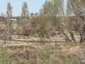 Участок · 6 га, Каргалы (п. Фабричный) за 60 млн ₸ — фото 4
