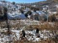 Участок · 25 соток, Чехова за 42 млн ₸ в  — фото 3