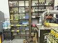 Действующий магазин · 130 м² за 17.3 млн ₸ в Астане, Нура р-н — фото 2
