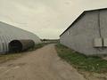 Еркін · 600 м², бағасы: ~ 1.4 млн ₸ в Коксай (пути Ильича) — фото 19