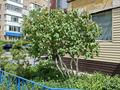 2-бөлмелі пәтер · 50 м² · 1/9 қабат, мкр Юго-Восток, Мкр Юго-Восток, мкр Степной 2 13, бағасы: 28 млн ₸ в Караганде, Казыбек би р-н