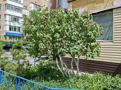 2-бөлмелі пәтер · 50 м² · 1/9 қабат, мкр Юго-Восток, Мкр Юго-Восток, мкр Степной 2 13, бағасы: 28 млн ₸ в Караганде, Казыбек би р-н