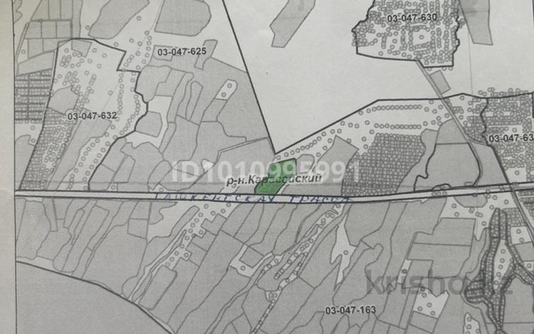 Участок · 6 га, Енбекши (Карасайский район) за 130 млн ₸ — фото 2