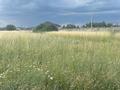 Участок · 100 соток, мкр Акжар за 900 млн ₸ в Алматы, Наурызбайский р-н — фото 3