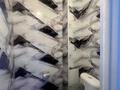 3-комнатная квартира · 68 м² · 5 этаж, Тынышбаева — Сейфуллина за 36 млн ₸ в Алматы, Турксибский р-н — фото 9