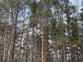 Участок · 10 соток, Есенжанова 160 за 28 млн ₸ в Уральске — фото 5