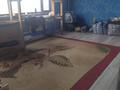 Отдельный дом · 4 комнаты · 122 м² · 15 сот., Сана би 27 за 22 млн ₸ в Жалтырколе — фото 7